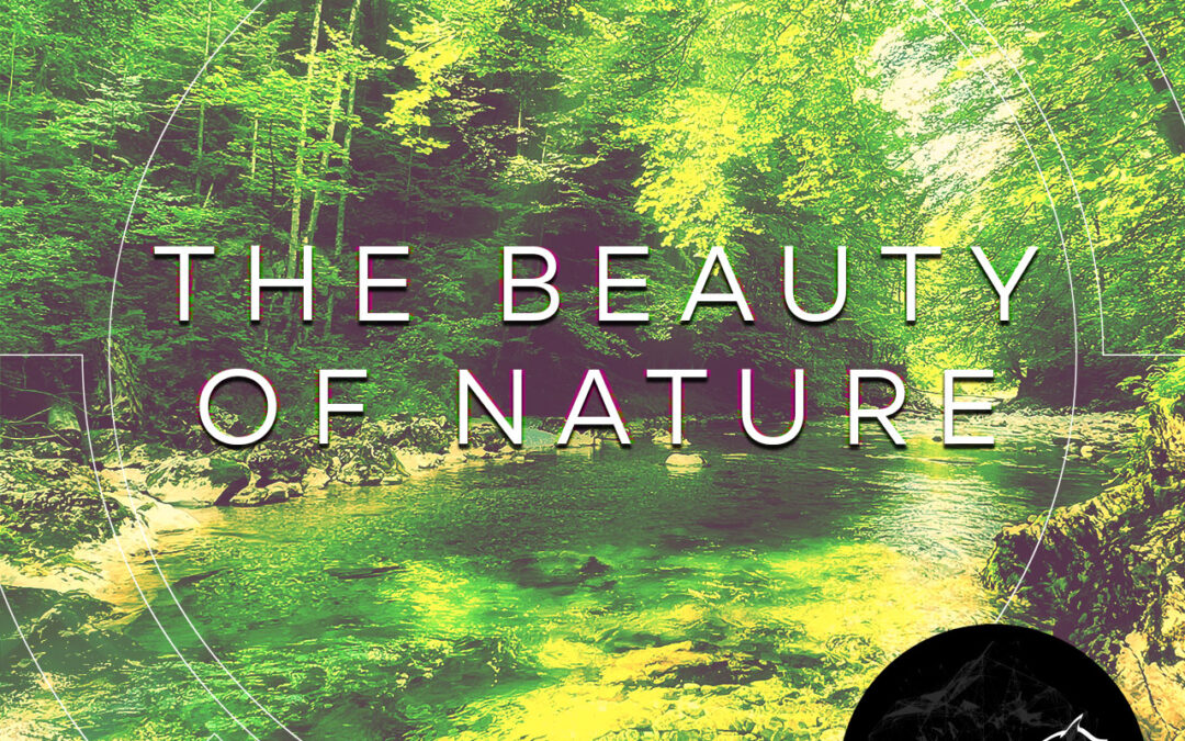 The Beauty Of Nature – Leopolds Birth