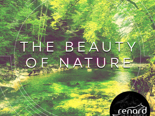 The Beauty Of Nature – Leopolds Birth