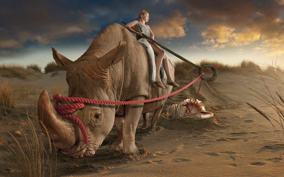 FETTE BEUTE – FAT BOOTY